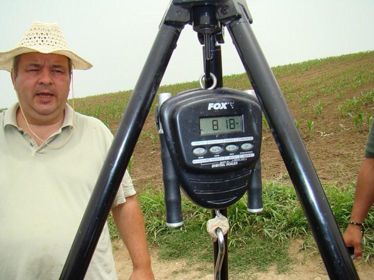 io - ajutorul lui nea popica
